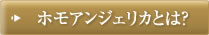 スピリチュアルセッション 詳細はこちら